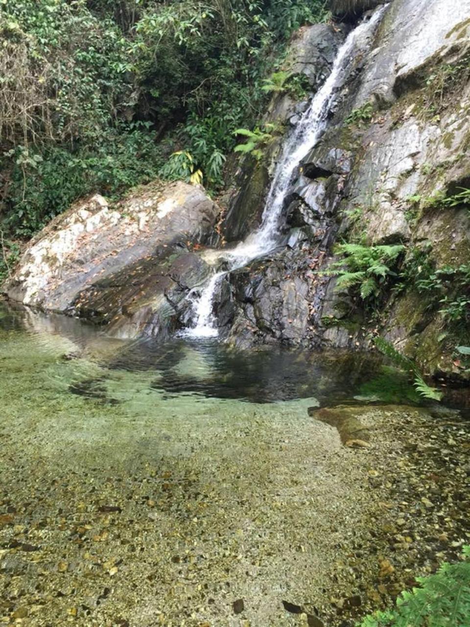 Glamping Finca Margaritas Hotel Pluma Hidalgo Exterior foto